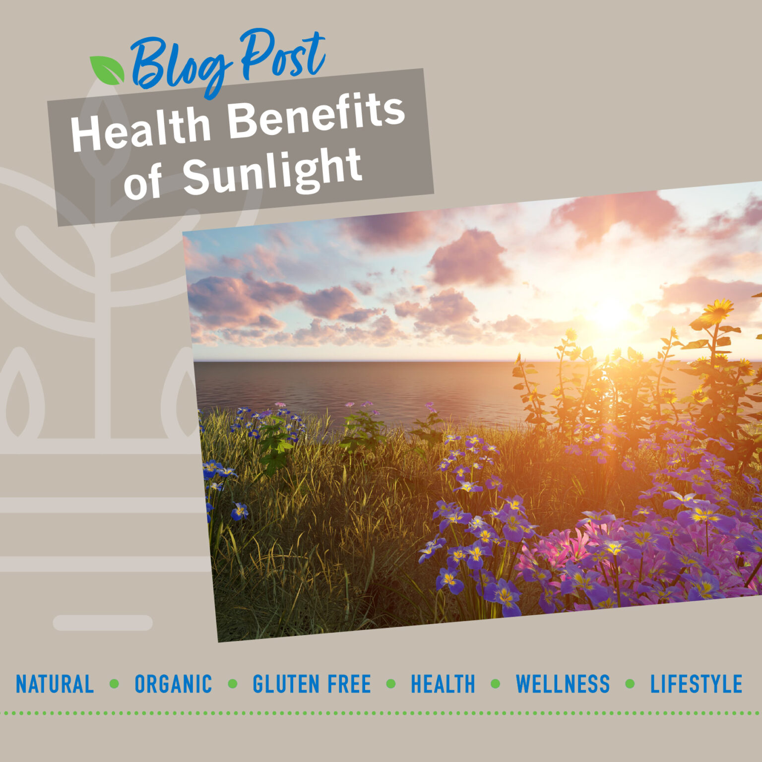 Avoid Sunight Health Benefits of Sunlight โ Save a label