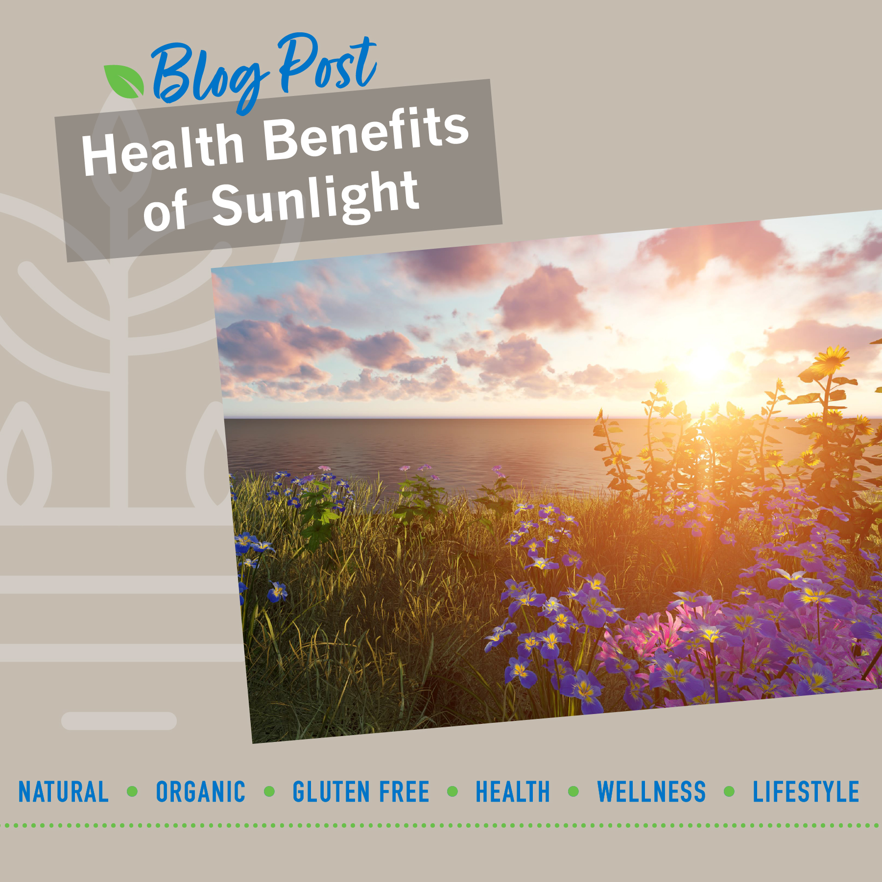 Sunlight Program Health Benefits of Sunlight – Save a label